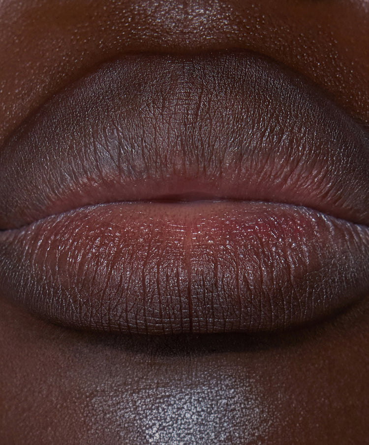 Lip Sculpt in shade Clove